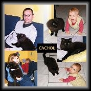 Cachou